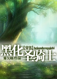 [穿书]黑暗圣骑士/黑化圣骑士