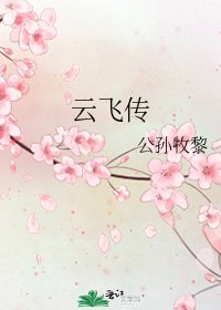 云飞传